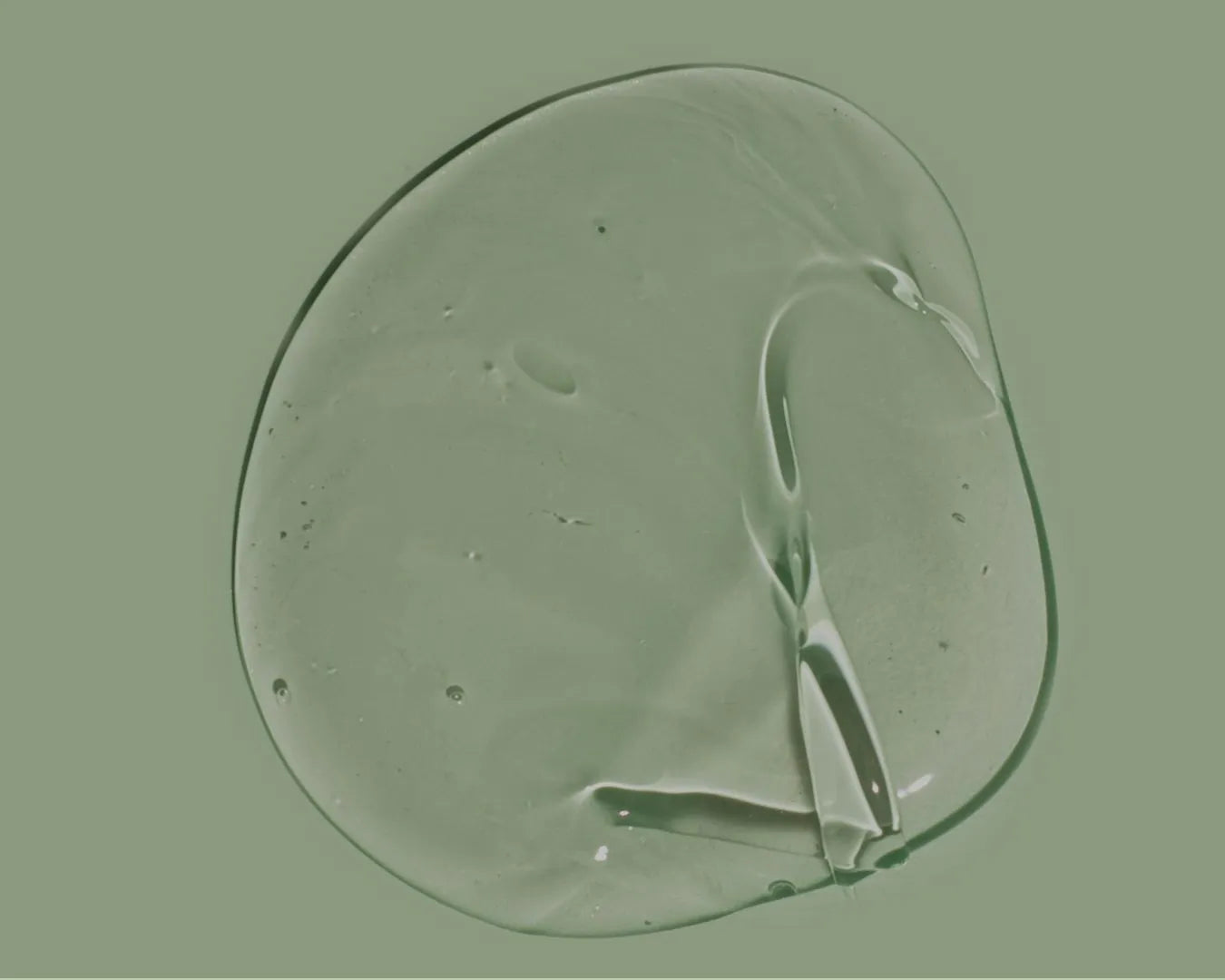 Nahaufnahme von Inhaltsstoff Ginkgo